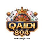 qaidi-804-game